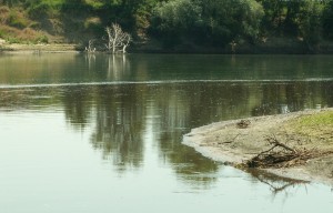 Кракен маркетплейс ссылка на сайт